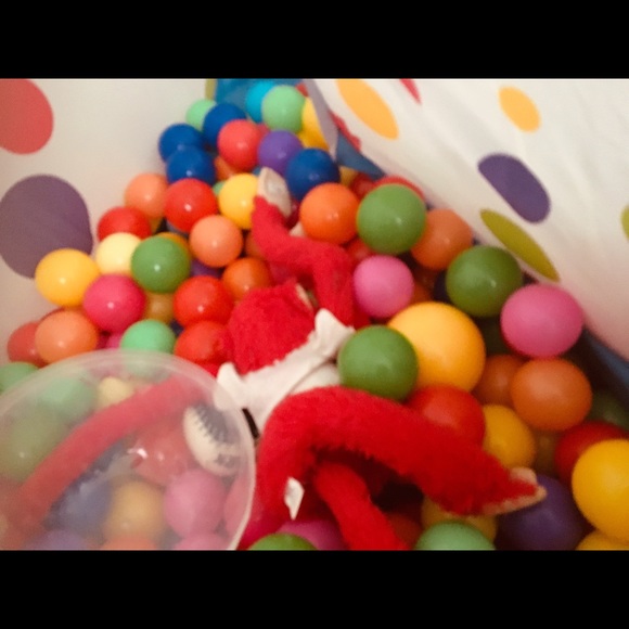 Meet your Posher, Grace - Picture 2 of 2